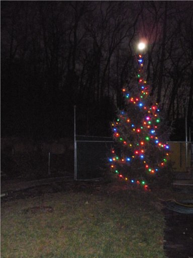 A giant star
              for our festive tree compliments of the moon.
