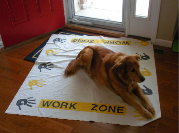 Golden retriever on drop cloth by front door.