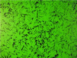Black feather faux finish over a leapfrog green wall
