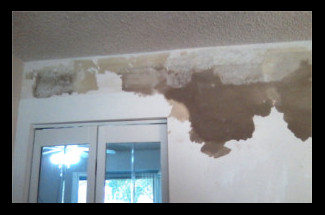 This shows that you can't see a lot of
                          the problems or repairs needed behind the
                          wallpaper.